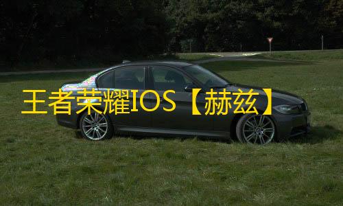 王者荣耀IOS【赫兹】辅助